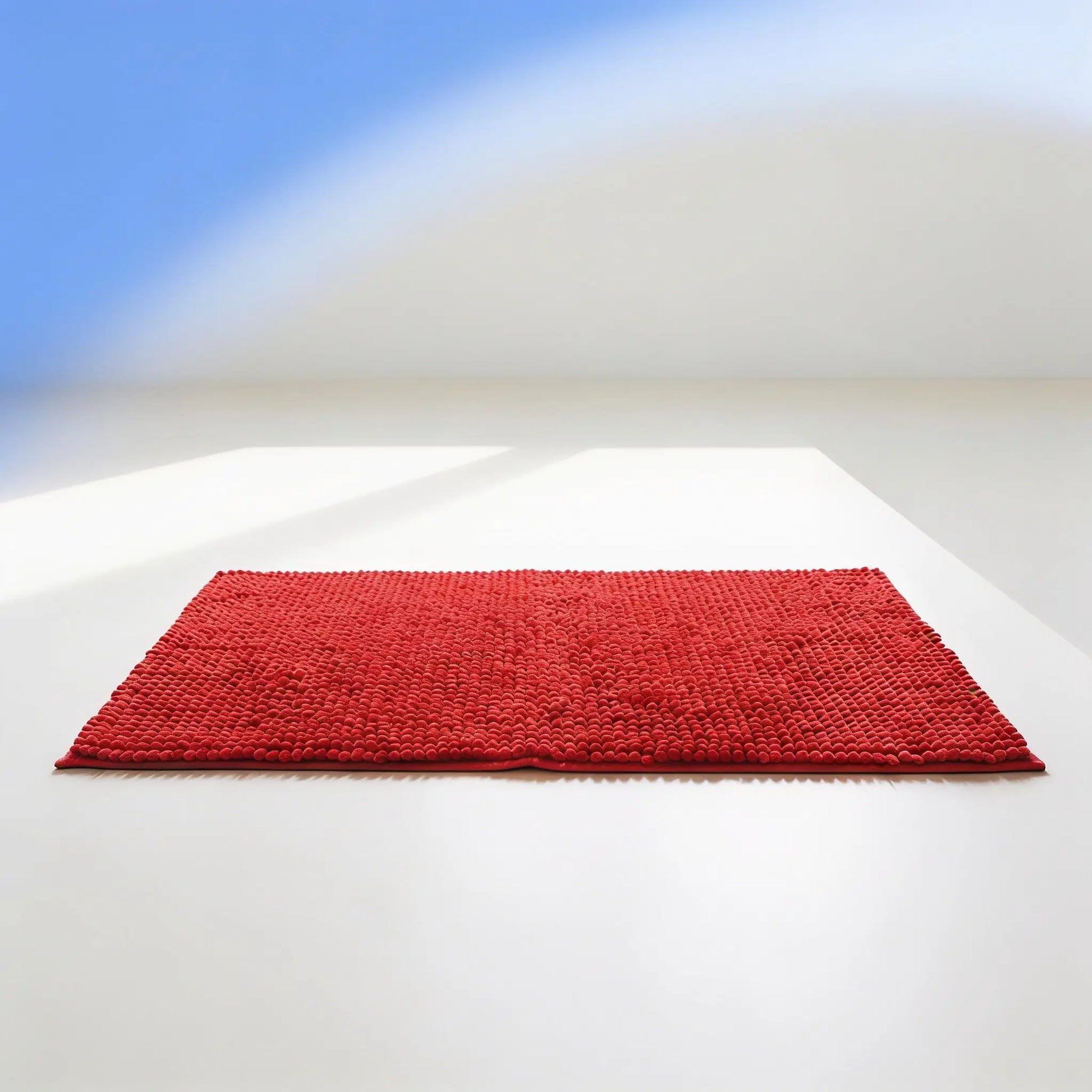 Blyio Absorbent Pet Paw Mat — product view 11