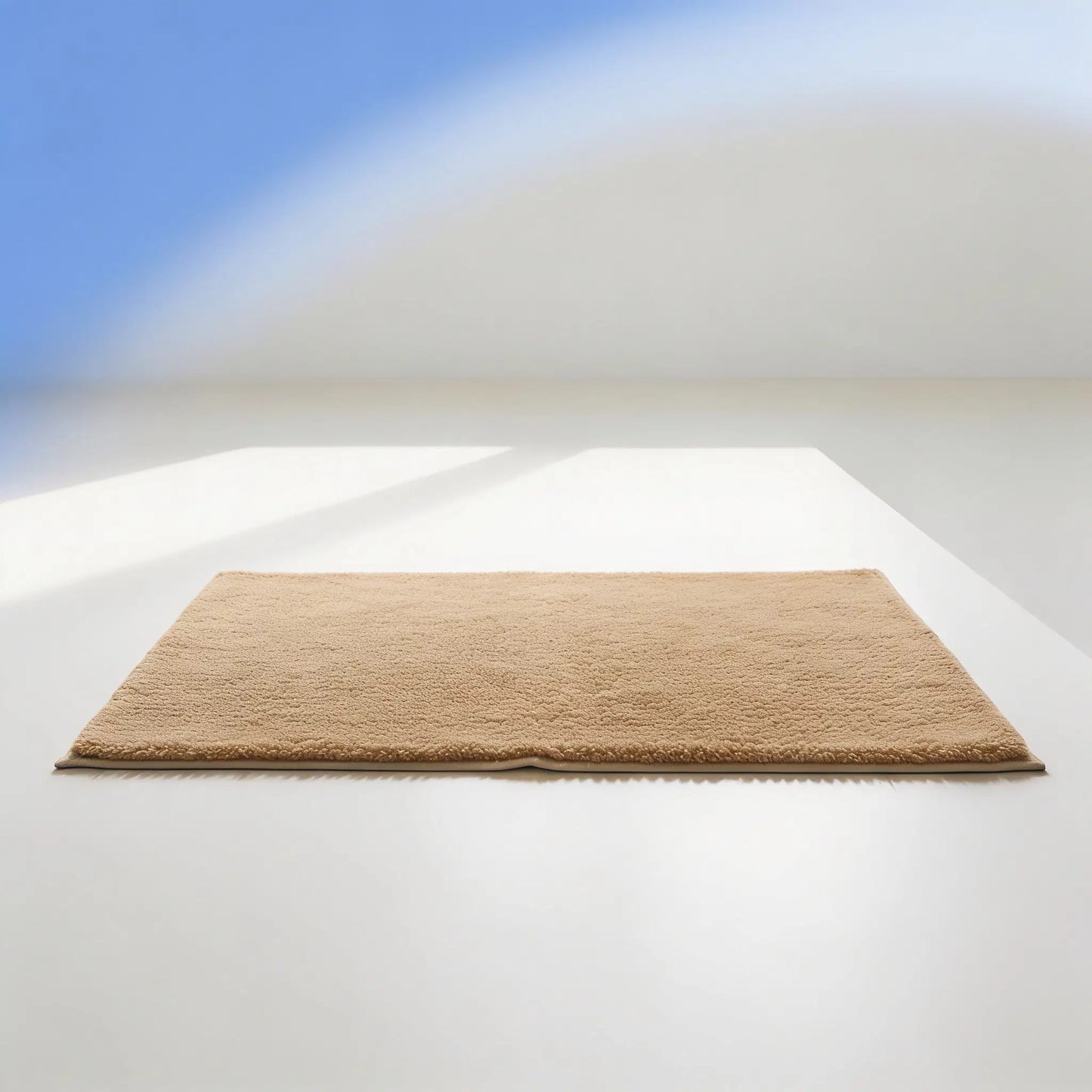 Blyio Absorbent Pet Paw Mat — product view 3