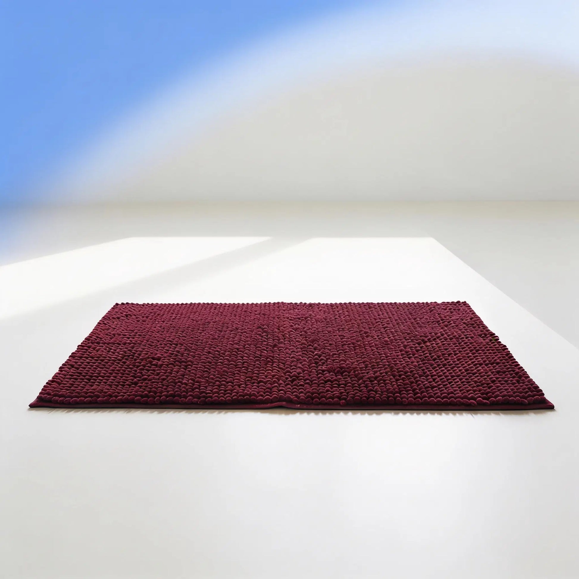 Blyio Absorbent Pet Paw Mat — product view 8