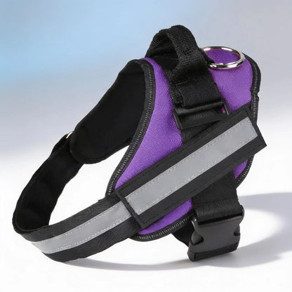 Blyio Adjustable Dog Harness with Padded Vest — product view 7