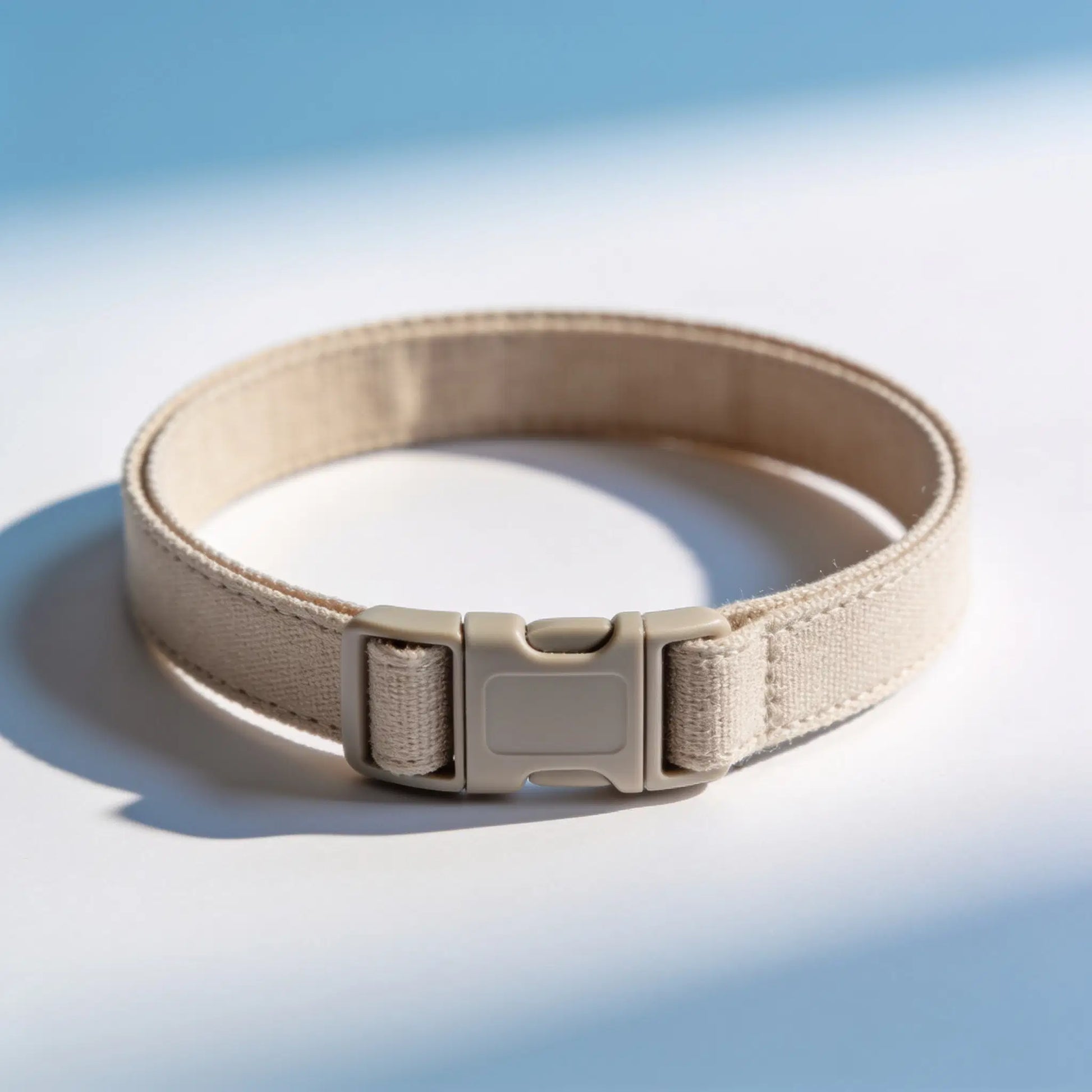Blyio Adjustable Water-Resistant Dog Collar — product view 1