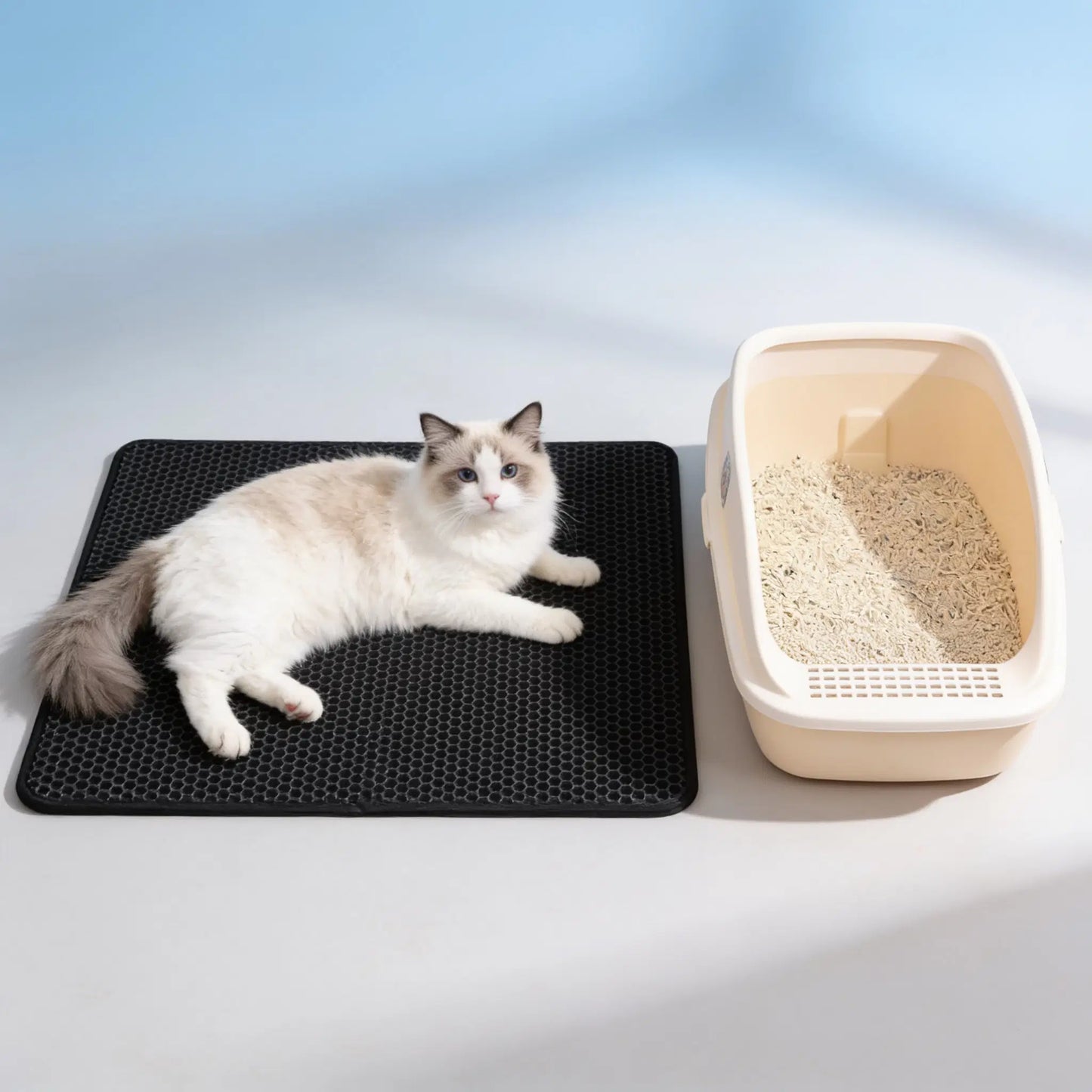 Blyio Cat Litter Trapping Mat — product view 1