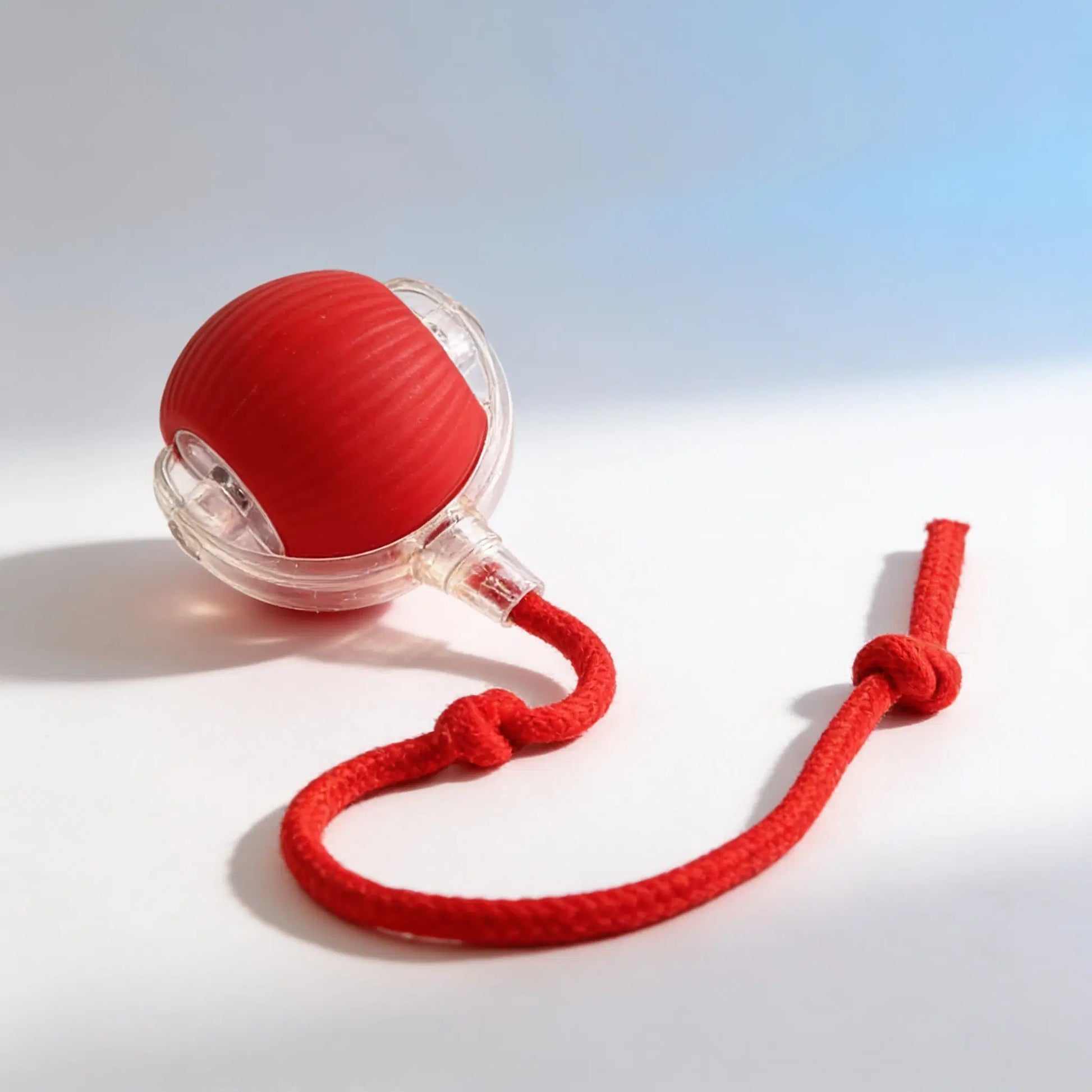 Blyio Interactive Rolling Ball Dog Toy — product view 1